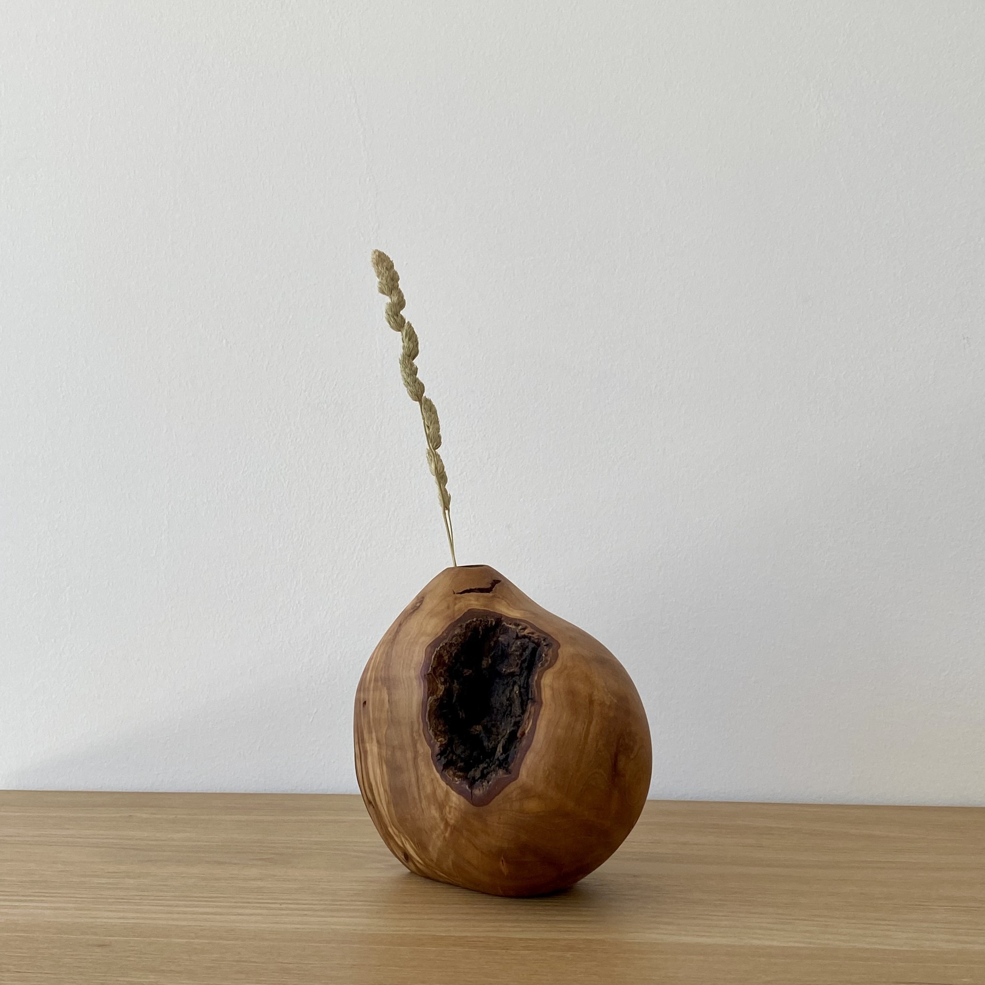 JARRA EM MADEIRA DE OLIVEIRA Vaso esférico em madeira com cavidade escura e haste seca sobre superfície de madeira