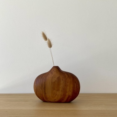 Vaso decorativo de madeira com duas hastes secas em fundo branco