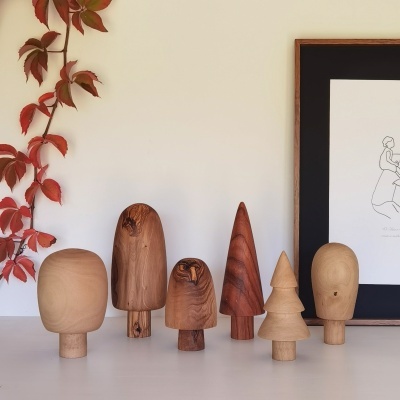 Seis decorações de madeira em vários tons e formas numa mesa com planta vermelha e quadro ao fundo.