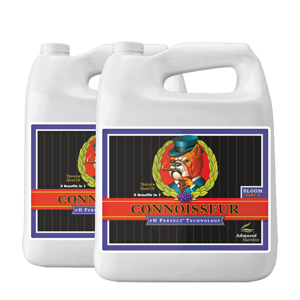 Connoisseur A+B Bloom 4L Recipientes grandes brancos com rótulo preto e vermelho, imagem de cão bulldog e texto CONNOISSEUR