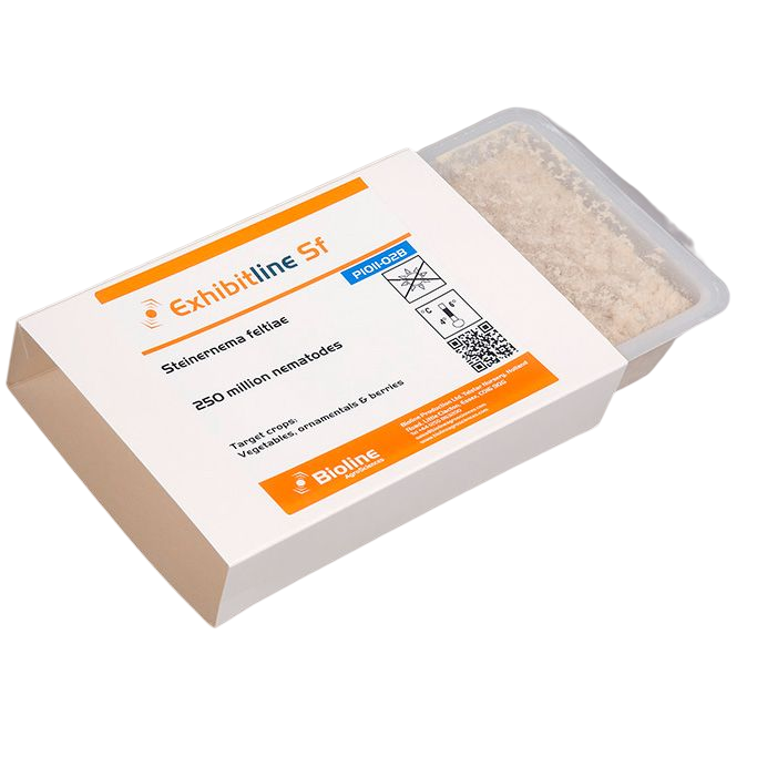 Bandeja Exhibitline SF -B- - 250 milhões de indivíduos - Steinernema feltiae Embalagem de produto biológico ExhibitLine Sf com nematóides para culturas alvo