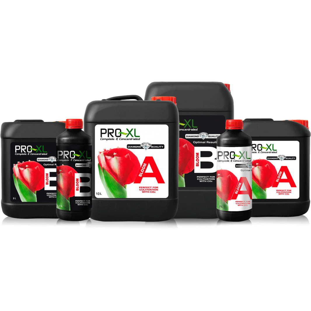 PRO-XL Bloom A&B Produtos líquidos PRO-XL Bloom A e B em embalagens plásticas pretas com tampas vermelhas e etiquetas com tulipa vermelha