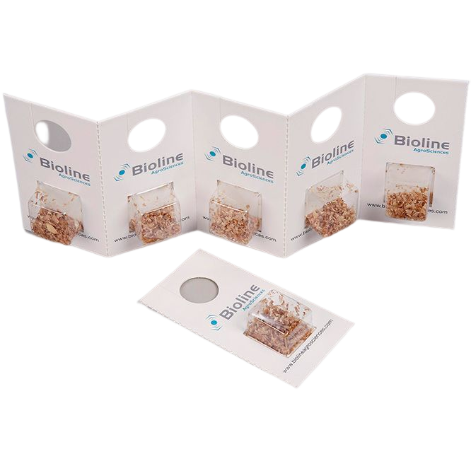 Eretline - 60 Cartões - 3.000 Indivíduos - Eretmocerus eremicus (Estufas e Batata de Aranha Branca) amostras de material em cartão dobrável com marca Bioline
