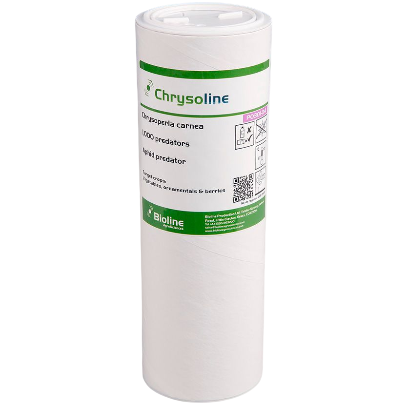 Crisolina - Tubo - 1.000 Indivíduos - Chrysoperla carnea (Phídeo) Frasco branco cilíndrico com rótulo verde e branco da Chrysoline com informações de predadores biológicos