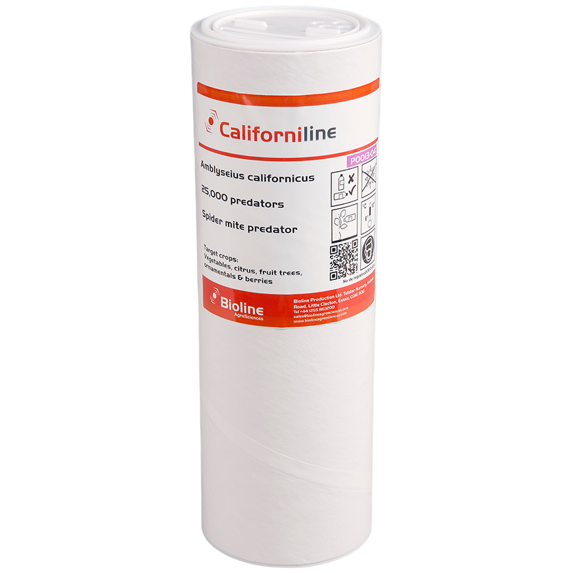 Californiline - frasco com 25000 un. - Amblyseius californicus (aranha-vermelha) — BIOLINE Embalagem cilíndrica branca com etiqueta informativa CaliforniLine e Bioline AgroSciences