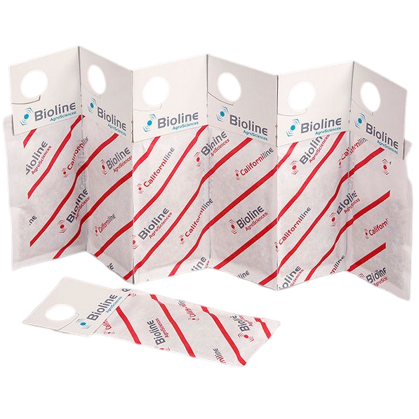 Californilina - 100 Saquetas Gemini - 25.000 Indivíduos - Amblyseius californicus (Aranha Vermelha) Sacos de papel branco com alças e texto Bioline AgroSciences e Californiline em padrão diagonal