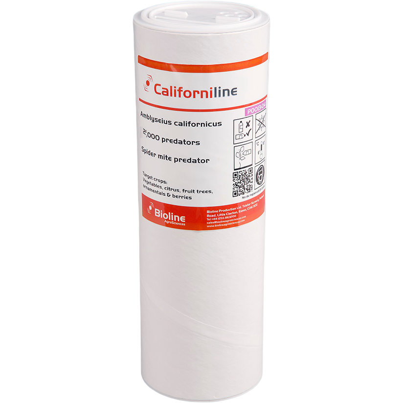 Californilina - Frasco com 2.000 unidades - Amblyseius californicus (Aranha Vermelha) Frasco branco com rótulo de produto CaliforniLine para controlo biológico agrícola