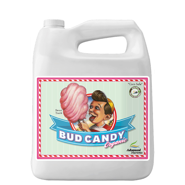Bud Candy 4L Recipiente branco com etiqueta BUD CANDY Organic e imagem de criança com algodão doce
