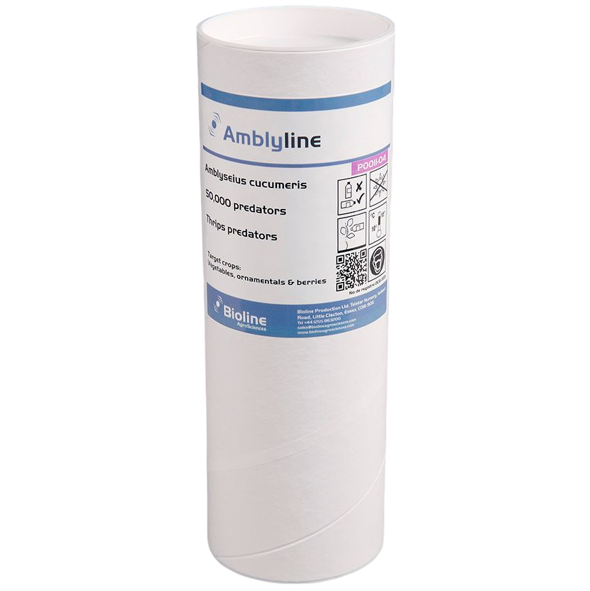 Amblyline - Farelo-vermiculita - Tubo - 50.000 Indivíduos - Amblyseius cucumeris (Thrips) Embalagem cilíndrica branca do produto Amblyline com etiqueta azul e branca