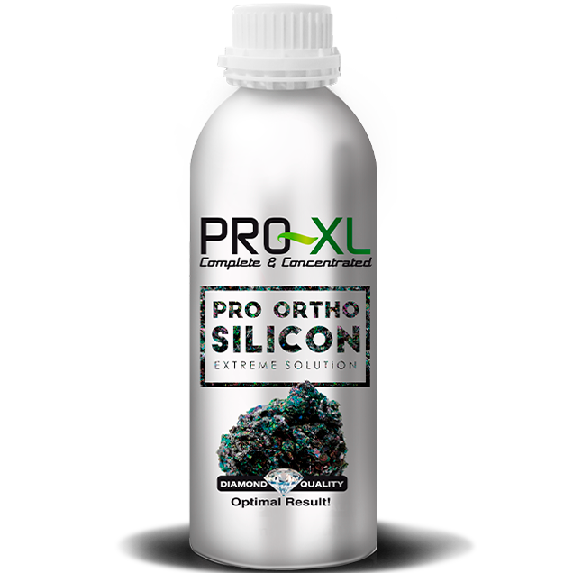 PRO-XL Pro-Ortho Silicon - 1 L Frasco prateado da solução PRO-ORTHO SILICON PRO-XL com imagem de mineral