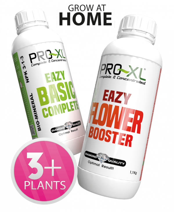 PRO-XL Eazy Pack 1L Talheres em duas garrafas de plástico com rótulos PRO-XL em verde e vermelho para fertilizantes
