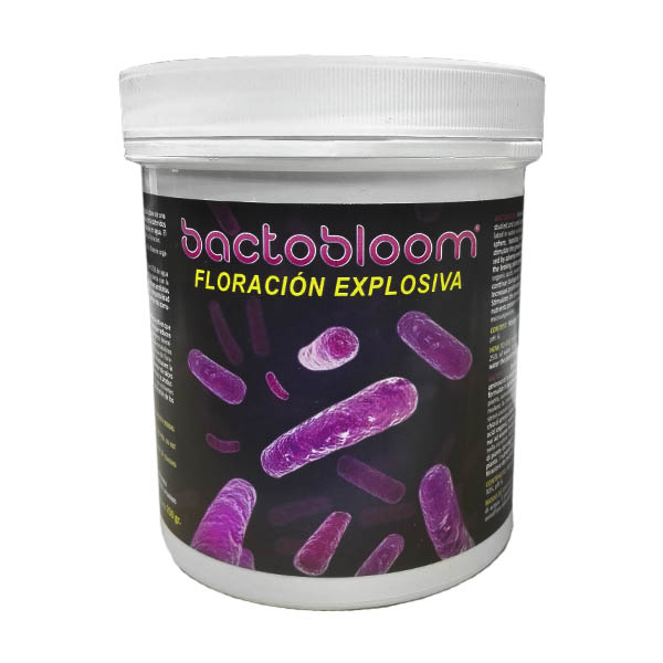 Bactobloom 250g Frasco plástico branco com rótulo preto 'bactobloom FLORACIÓN EXPLOSIVA' e imagens de bactérias roxas