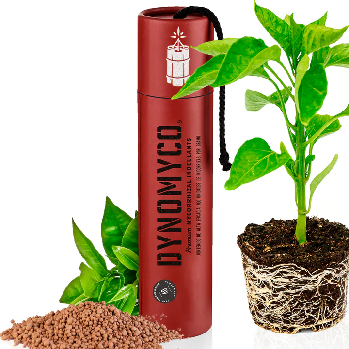 Dynomyco Micorrizas 200gr Embalagem vermelha DYNAONYCO com terra e planta verde com raízes visíveis