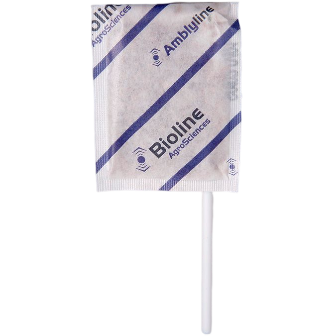 Amblyline - Farelo-vermiculita - 500 saquetas Stick - 125000 indivíduos - Amblyseius cucumeris (tripes) — BIOLINE Pacote branco quadrado com texto azul Bioline AgroSciences com cabo branco