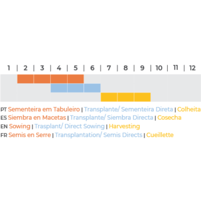 Gráfico de barras com legendas multilingues que indicam fases do cultivo das plantas ao longo do ano.