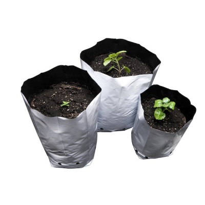 Três sacos de cultivo com plantas pequenas