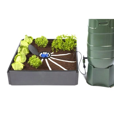 Sistema de irrigação automático com reservatório e plantas em caixa