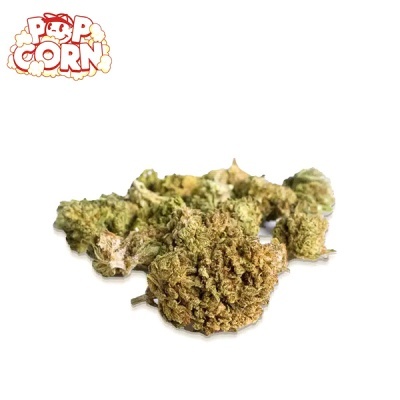 Flores secas verdes sobre fundo branco com texto POPCORN no canto superior esquerdo