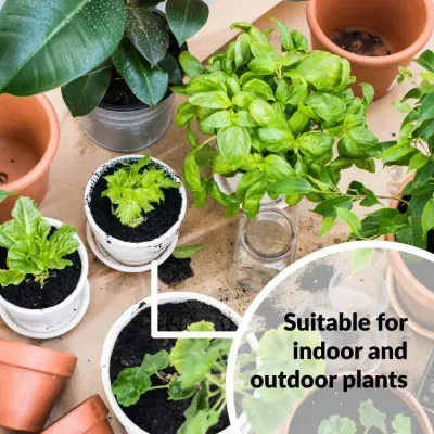 Plantas em vários vasos de barro, branco e metálico com texto sobre plantas interiores e exteriores