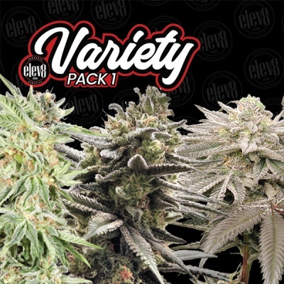 Três plantas de cannabis cristalizadas com texto Variety PACK 1 e logótipo elev8 sobre fundo preto