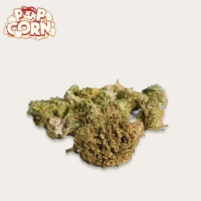 Botões de planta seca verde e castanha com texto POP CORN no canto superior esquerdo