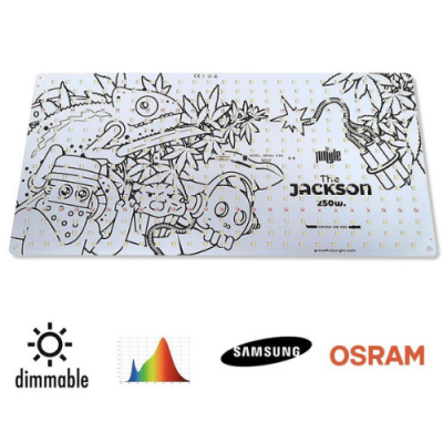 Placa eletrónica branca com desenhos lineares pretos e texto The JACKSON e logótipos Samsung e OSRAM