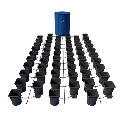 Sistema de cultivo hidropónico com reservatório azul e vasos pretos em filas