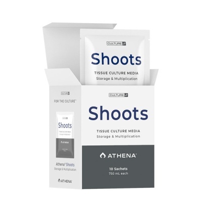 Caixa branca com 10 sachês Athena Shoots para cultura de tecidos.