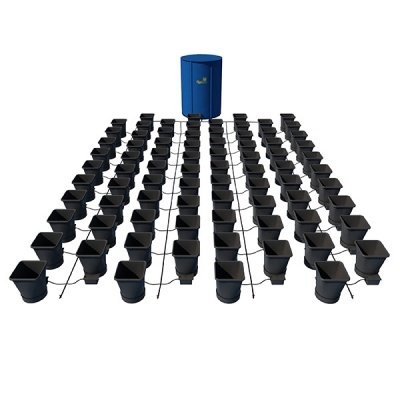 Sistema de cultivo hidropónico com vasos pretos e reservatório azul