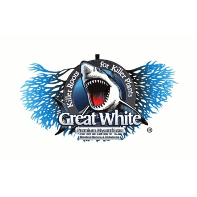 Great White Shark