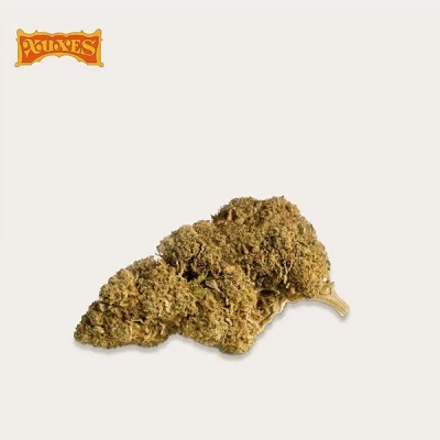 Flor seca castanha sobre fundo branco com logótipo POLYSES