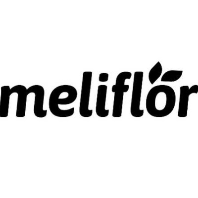Logótipo preto meliflór com folhas acima da letra ó