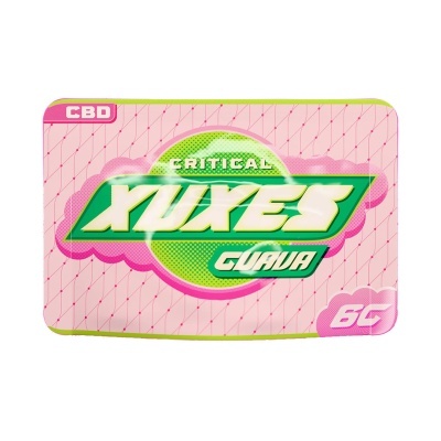 Estojo retangular rosa e verde com texto Critical Xuxes Guava CBD 6G