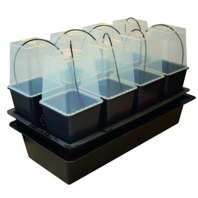 Conjunto de mini estufas transparentes com bases pretas numa bandeja preta