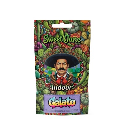 Embalagem colorida com ilustração mexicana e texto Gelato