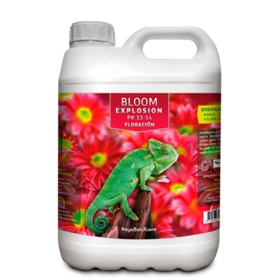Recipiente branco com etiqueta de flores e camaleão verde
