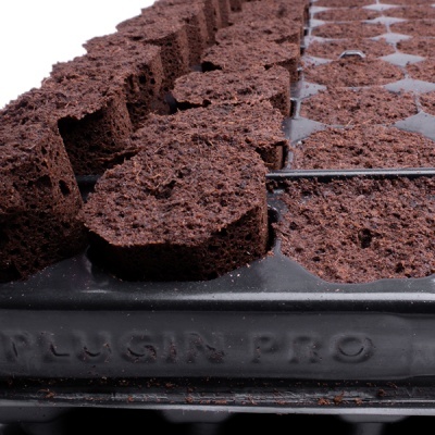 Bandeja preta com discos de fibra de coco para sementeira