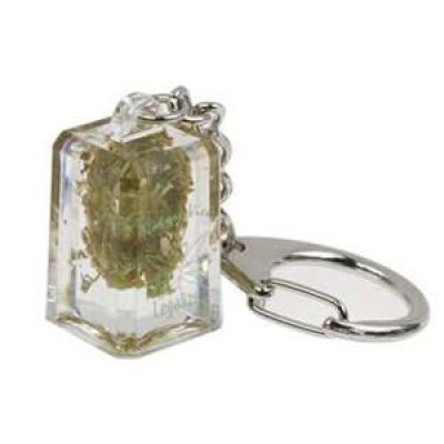 Porta-chaves retangular transparente com detalhe dourado e argola metálica prateada.