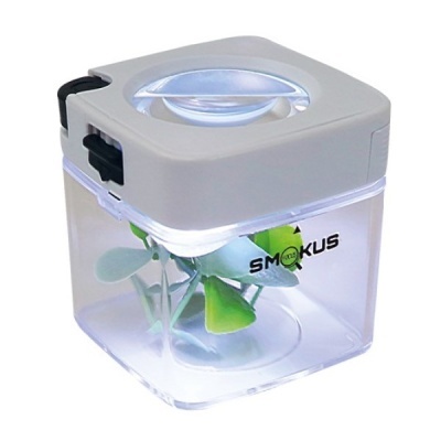 caixa transparente com planta artificial e lente de aumento