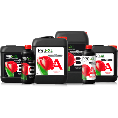 Produtos líquidos PRO-XL Bloom A e B em embalagens plásticas pretas com tampas vermelhas e etiquetas com tulipa vermelha