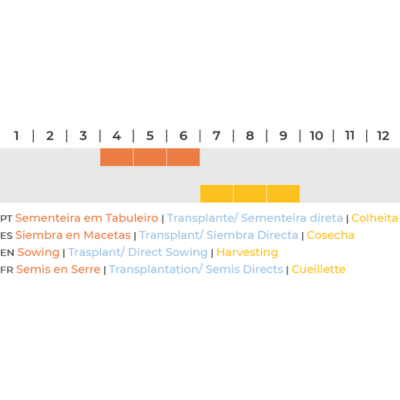 Gráfico de barras coloridas com legendas em várias línguas sobre fases do cultivo agrícola e meses do ano.