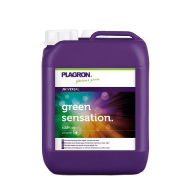 Recipiente plástico roxo Plagron Green Sensation com alça e tampa dupla