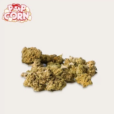 Flores secas verdes-amareladas sobre fundo branco com texto POP CORN
