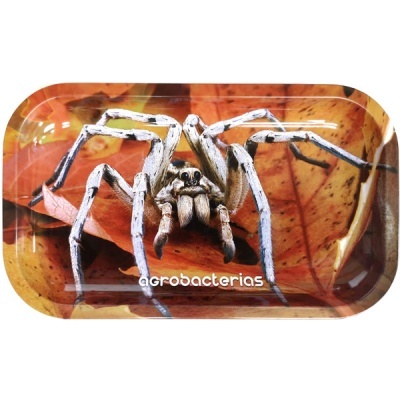 Tabuleiro com imagem de aranha e folhas secas com texto acrobacterias