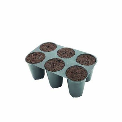 Seis vasos verdes com terra em estrutura retangular
