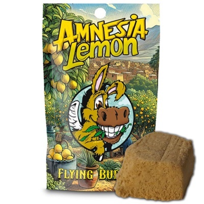 Pacote colorido AMNESIA Lemon com desenho de burro sorridente e bloco marrom ao lado.