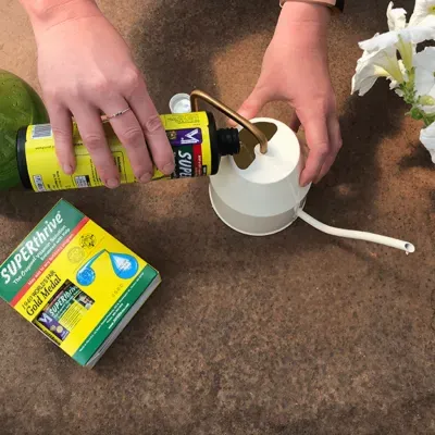 Mãos a verter líquido num regador branco com embalagem SUPERthrive ao lado