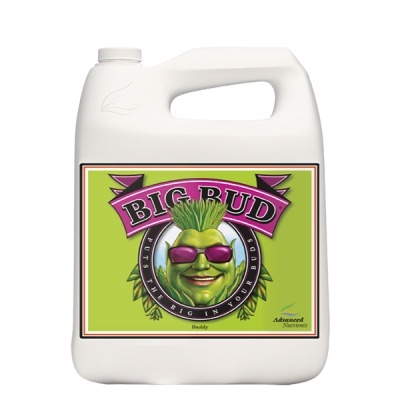 Frasco branco com rótulo verde BIG BUD e figura caricata verde com óculos