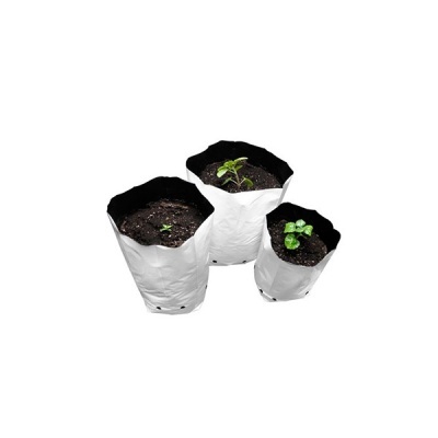 Três sacos de plantação com terra e pequenas plantas