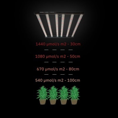 Luz LED com seis barras sobre plantas e valores de intensidade luminosa